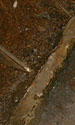 Detail Bodenanschluß