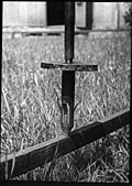 IMG031.TIF