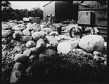 IMG054.TIF