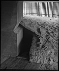 IMG066.TIF